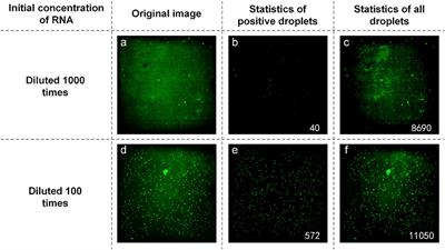 An integrated digital PCR system with high universality and low cost for nucleic acid detection